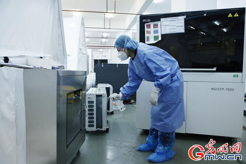 守滬者聯盟丨上海建成'火眼'實驗室，日檢測通量可達10萬單管